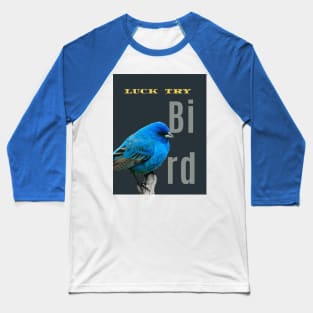 bulk Baseball T-Shirt